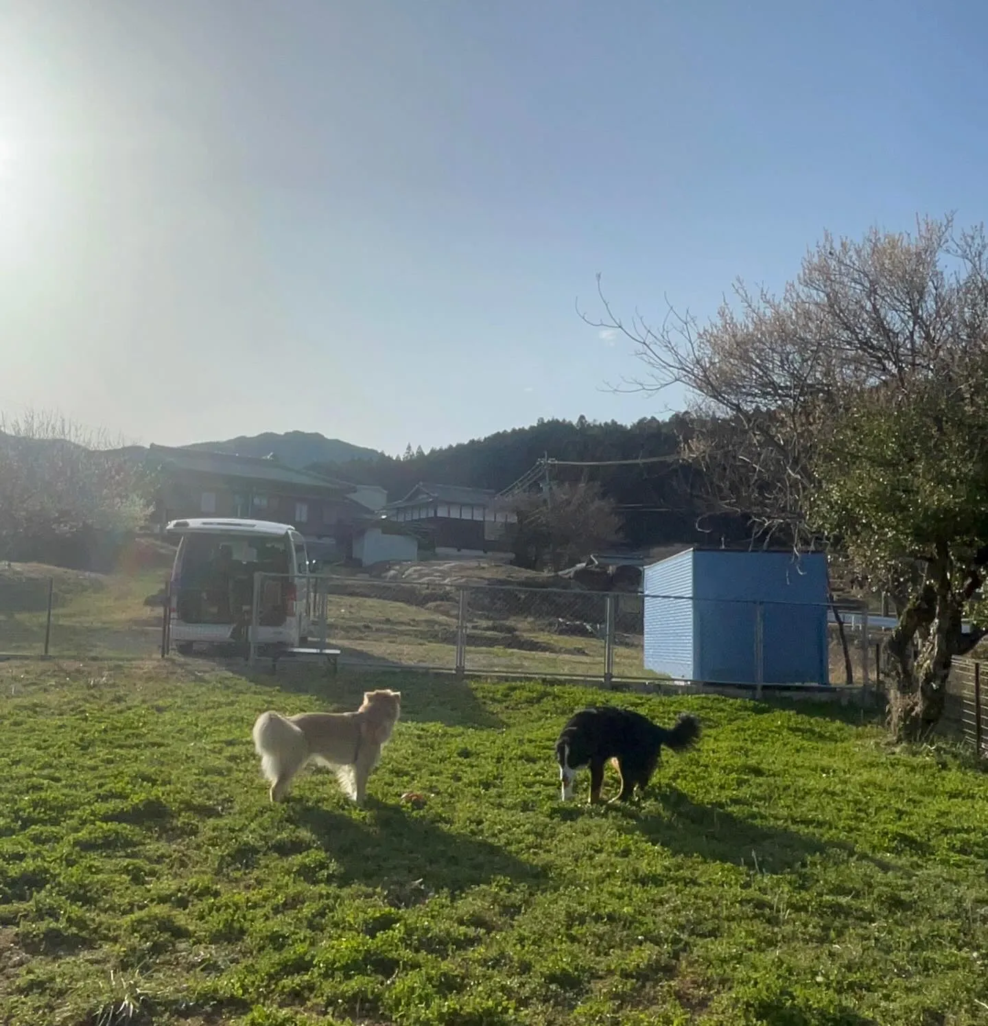 こんにちは わんスマイルです。