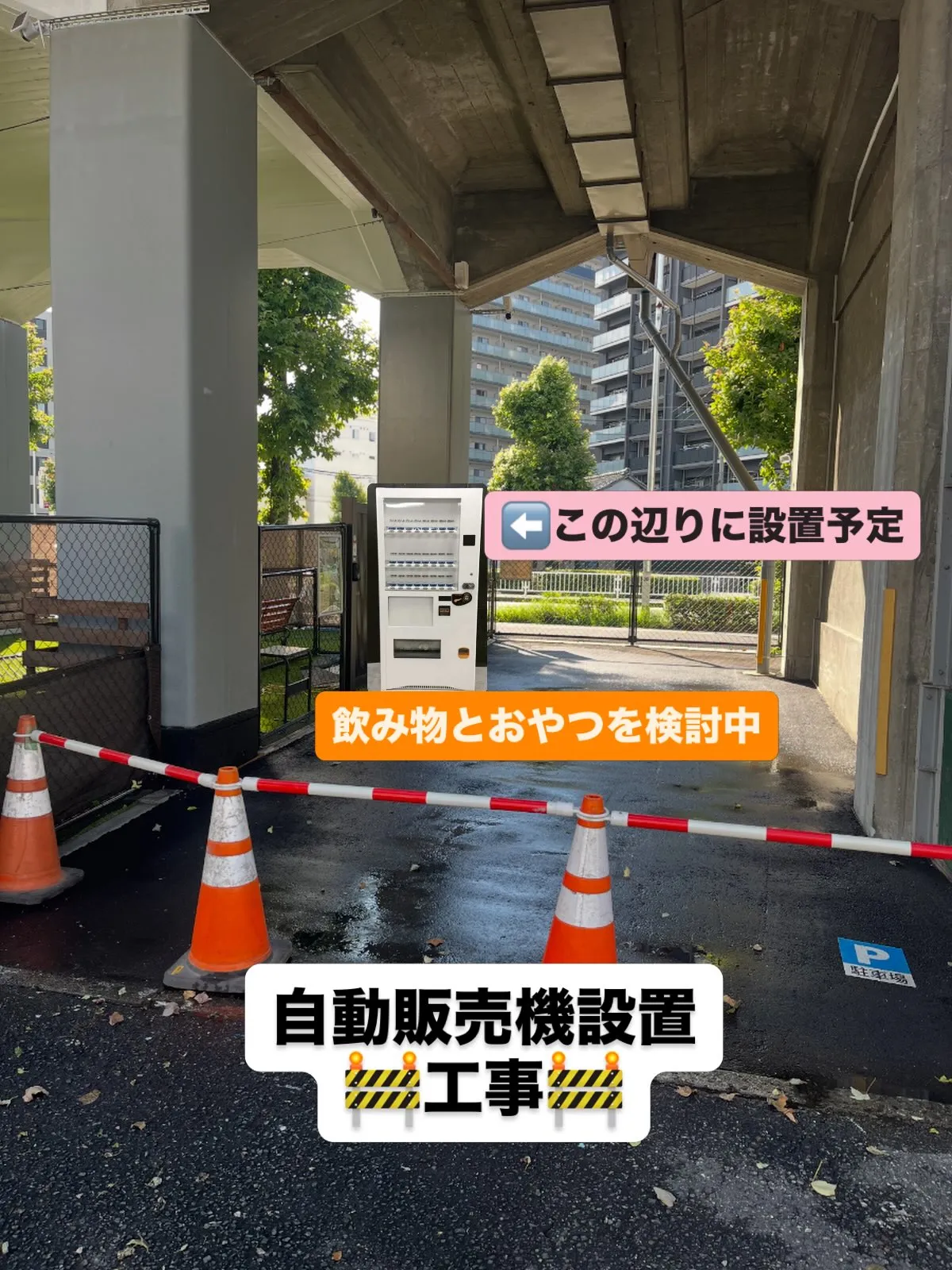 わんスマイルです☺️