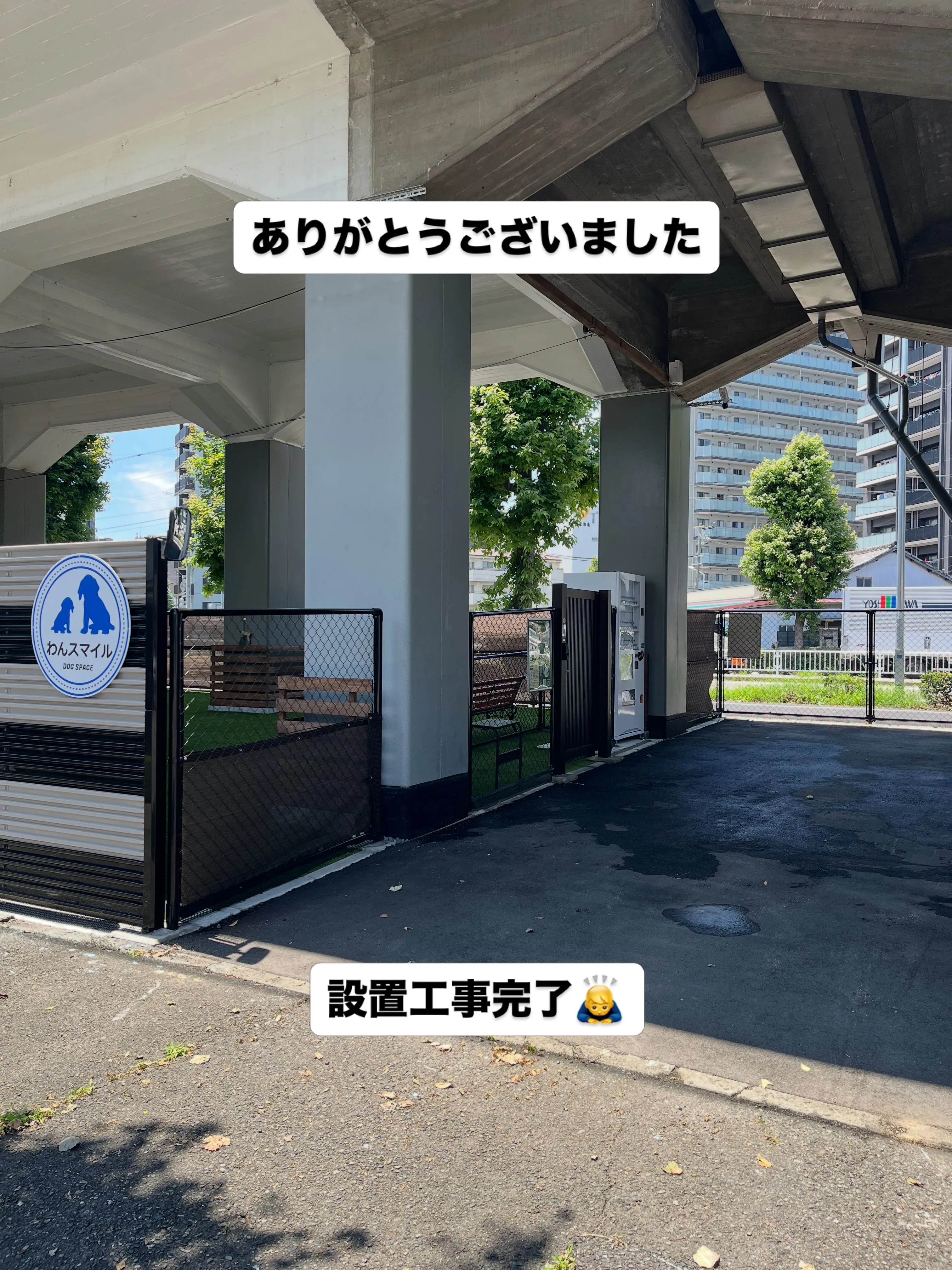 わんスマイルです☺️
