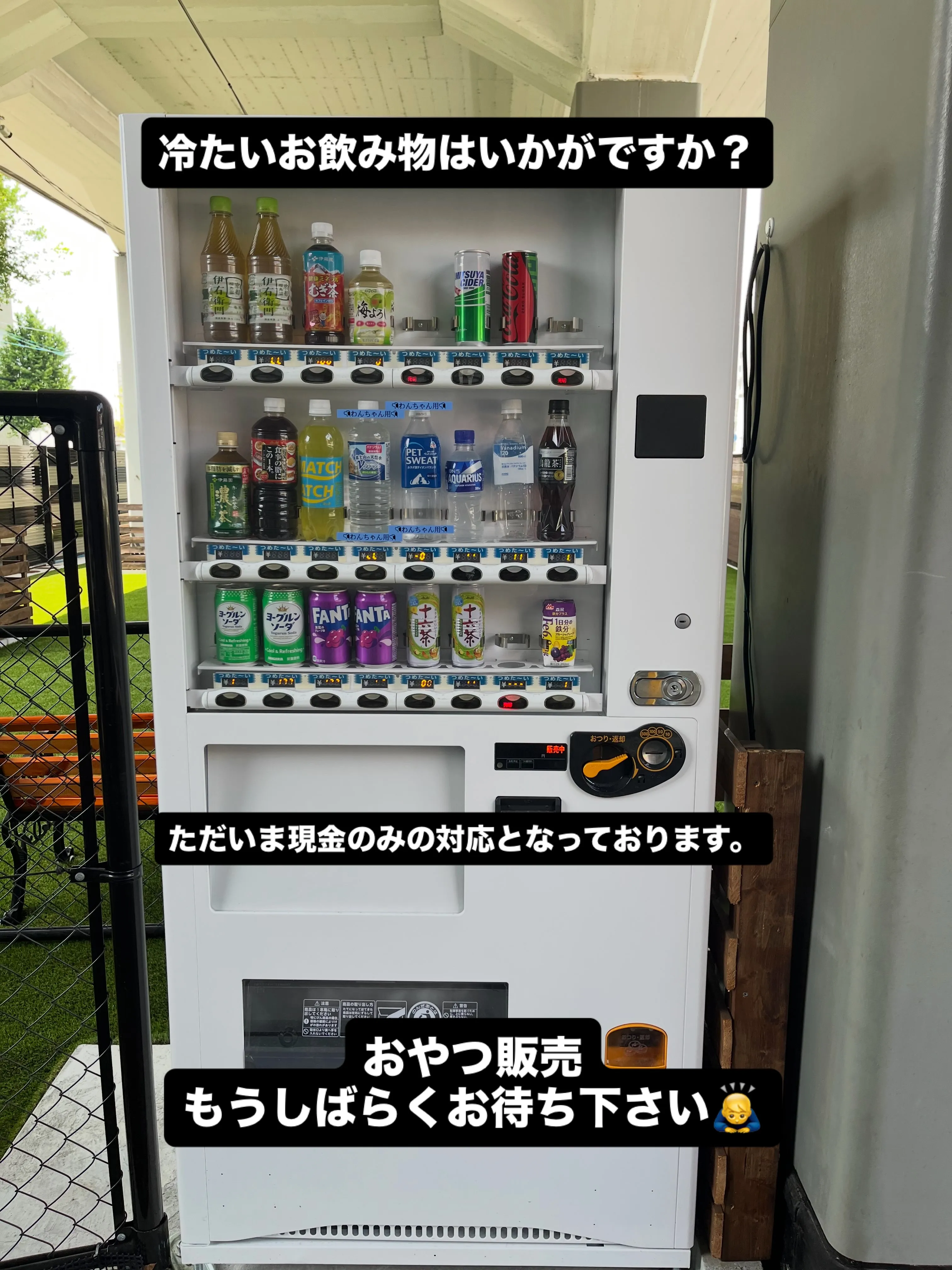 わんスマイルです。